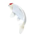Mojo Koi Karpfen Tancho